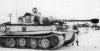 Panzer VI Tiger I (43)